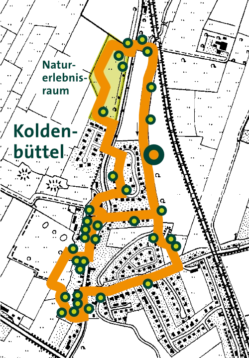 Standortkarte Spitzahorn