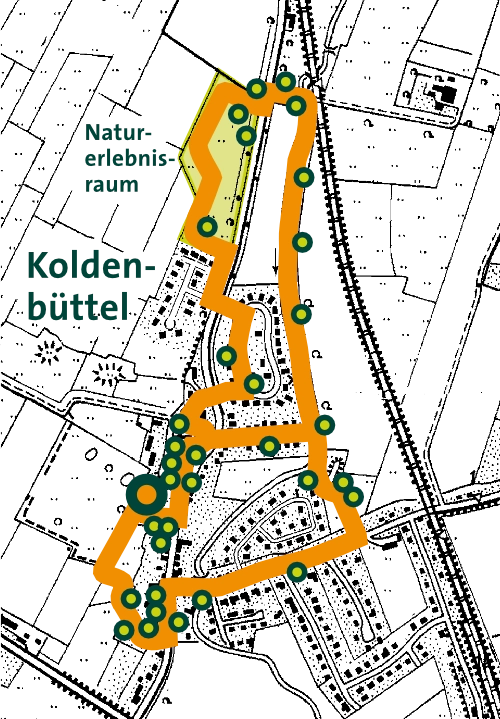 Standortkarte Silberweide