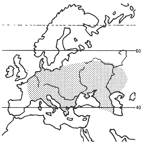 Flatterulme Verbreitung Flatterulme Verbreitung
